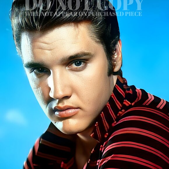 Elvis Photograph 11 X 14 - Magnificent 1956 Portrait - Rare Photo - Poster Print - Picture 2 of 2